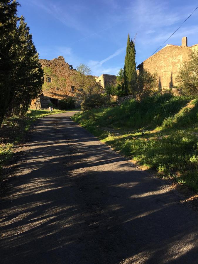Chambres D Hotes Le Clos Des Vins D Anges Saint-Pierre-des-Champs Bagian luar foto