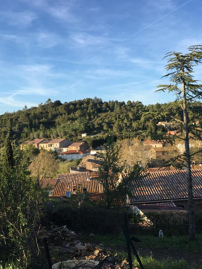 Chambres D Hotes Le Clos Des Vins D Anges Saint-Pierre-des-Champs Bagian luar foto
